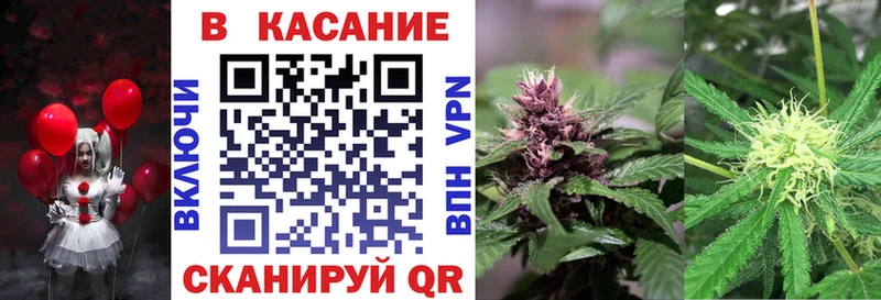 МЕФ Кулебаки