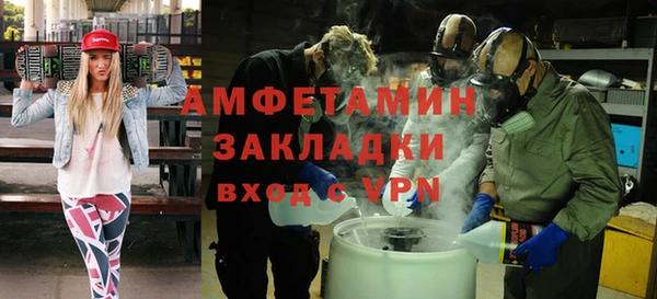 сатива Ладушкин