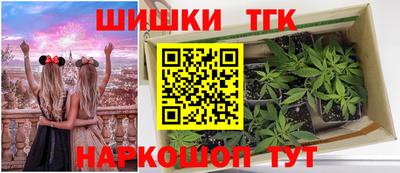 СК Гусев
