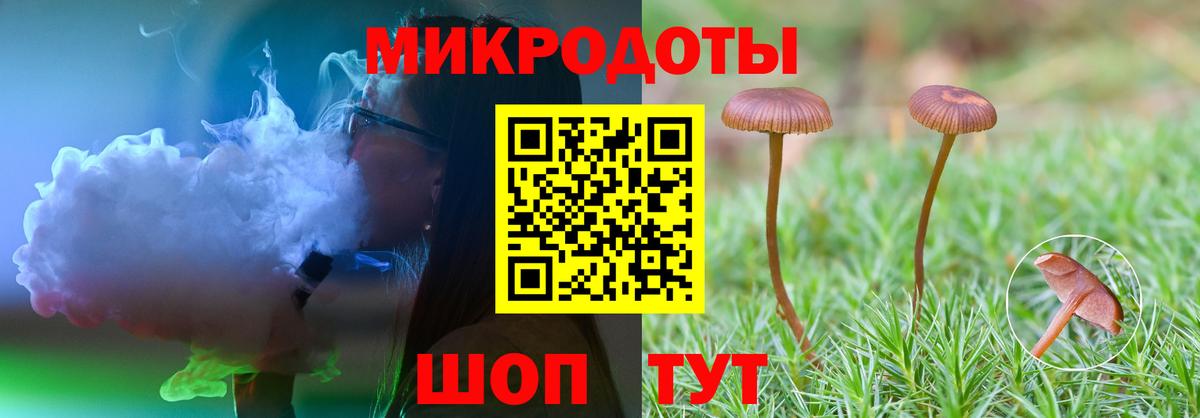 купить наркотик  Кулебаки  Галлюциногенные грибы MAGIC MUSHROOMS  Псилоцибиновые грибы ЛСД 