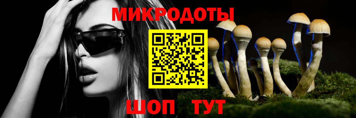 Псилоцибиновые грибы мицелий Кулебаки